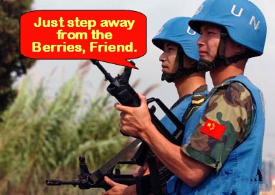 peacekeepers, honey